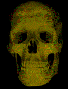anskull3.gif