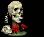 email.gif