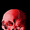 skullani1.gif