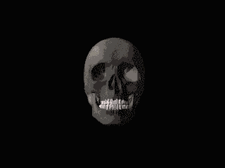 skullblink2.gif