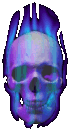 skullflames.gif
